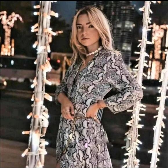 Zara Snakeskin Print Elegant Gray Dress NWT Size Xsmall - Picture 4 of 6